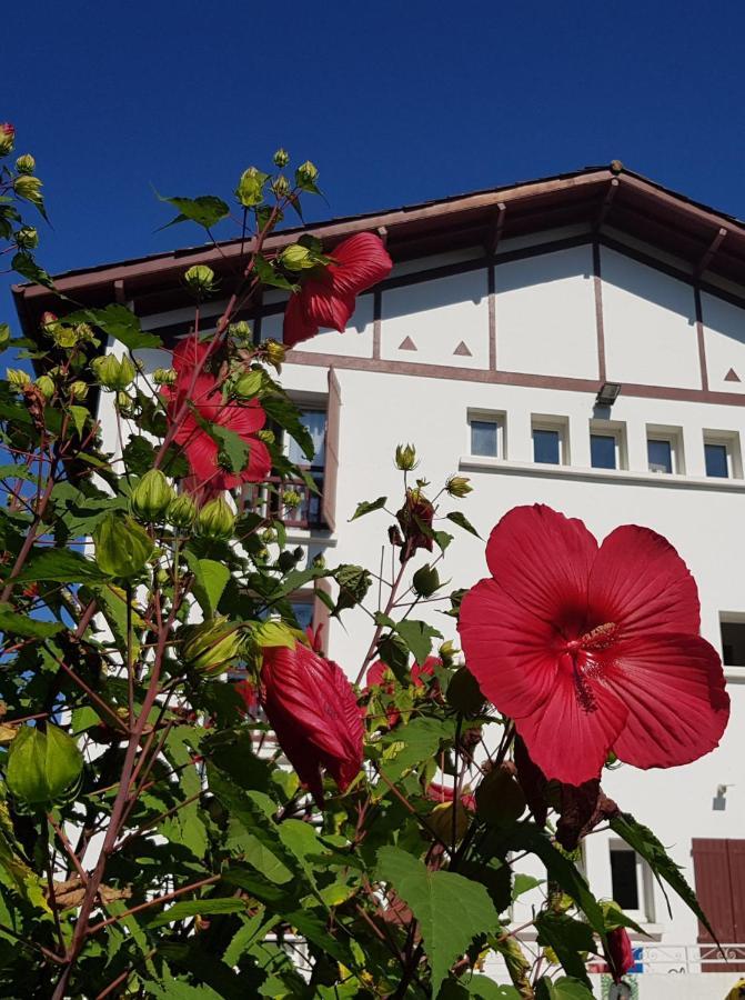 Hotel Pyrenees Atlantique Saint-Pée-sur-Nivelle Exteriér fotografie