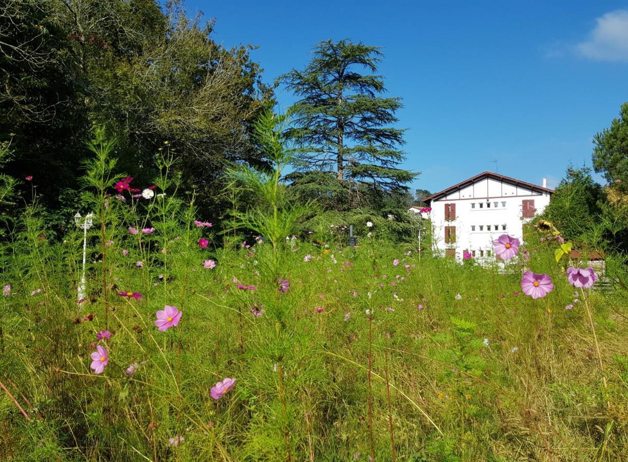 Hotel Pyrenees Atlantique Saint-Pée-sur-Nivelle Exteriér fotografie
